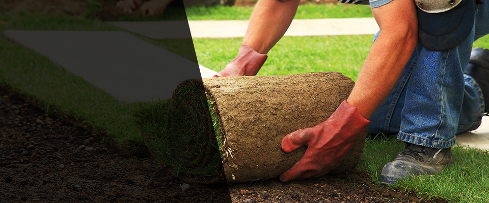 Basehor Landscapers